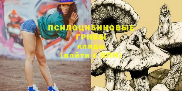 таблы Богданович