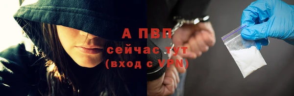 таблы Богданович