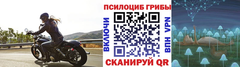 сколько стоит  Белозерск  Псилоцибиновые грибы мицелий 